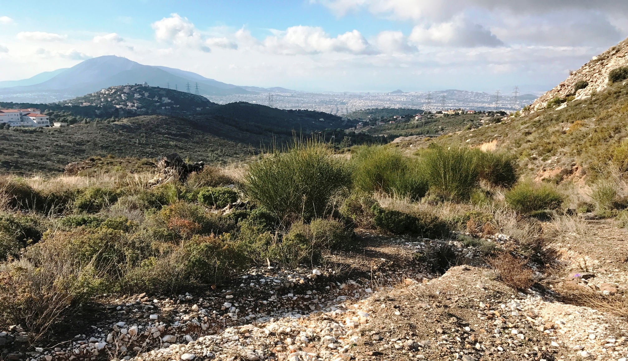 ΠΕΝΤΕΛΗ 11/2/2017